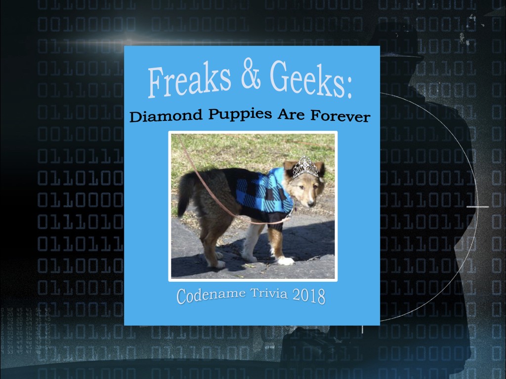 AwardCeremony2018.031