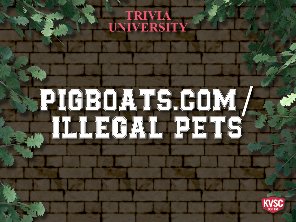 AwardCeremony2019.013